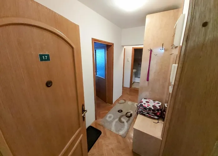 公寓 Dada 兹拉蒂博尔